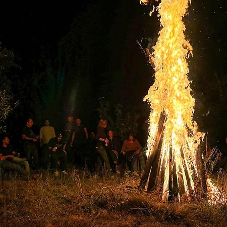 Conacul Bunicilor Hotel Novaci Kültér fotó