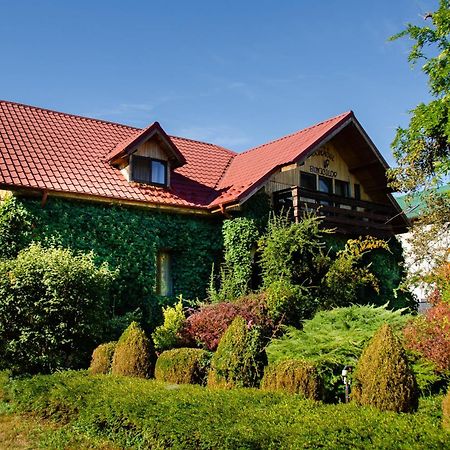 Conacul Bunicilor Hotel Novaci Kültér fotó