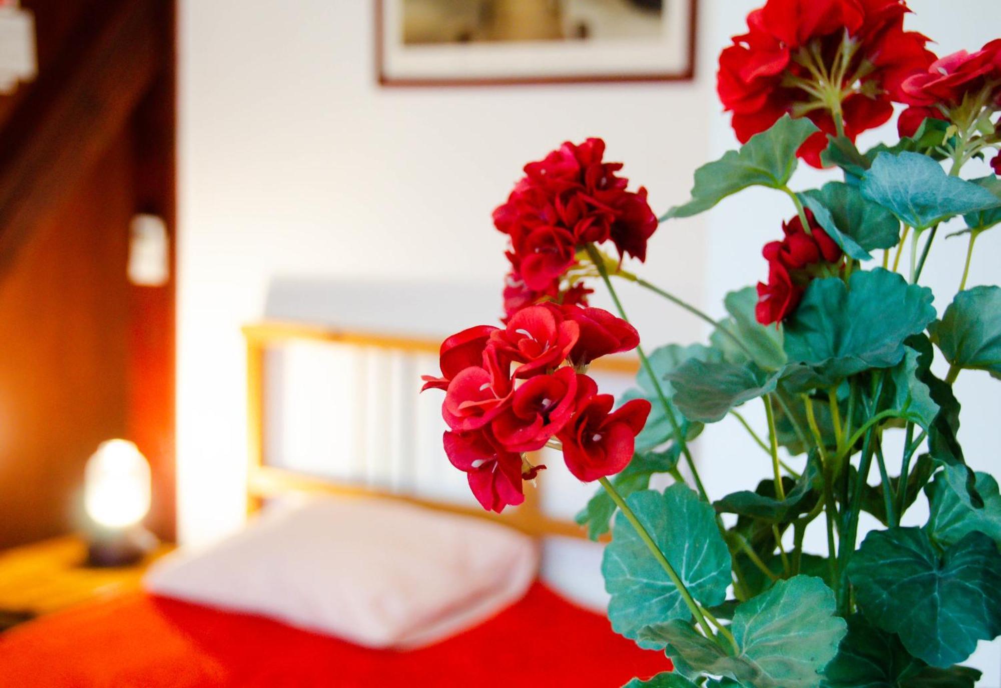 Conacul Bunicilor Hotel Novaci Kültér fotó
